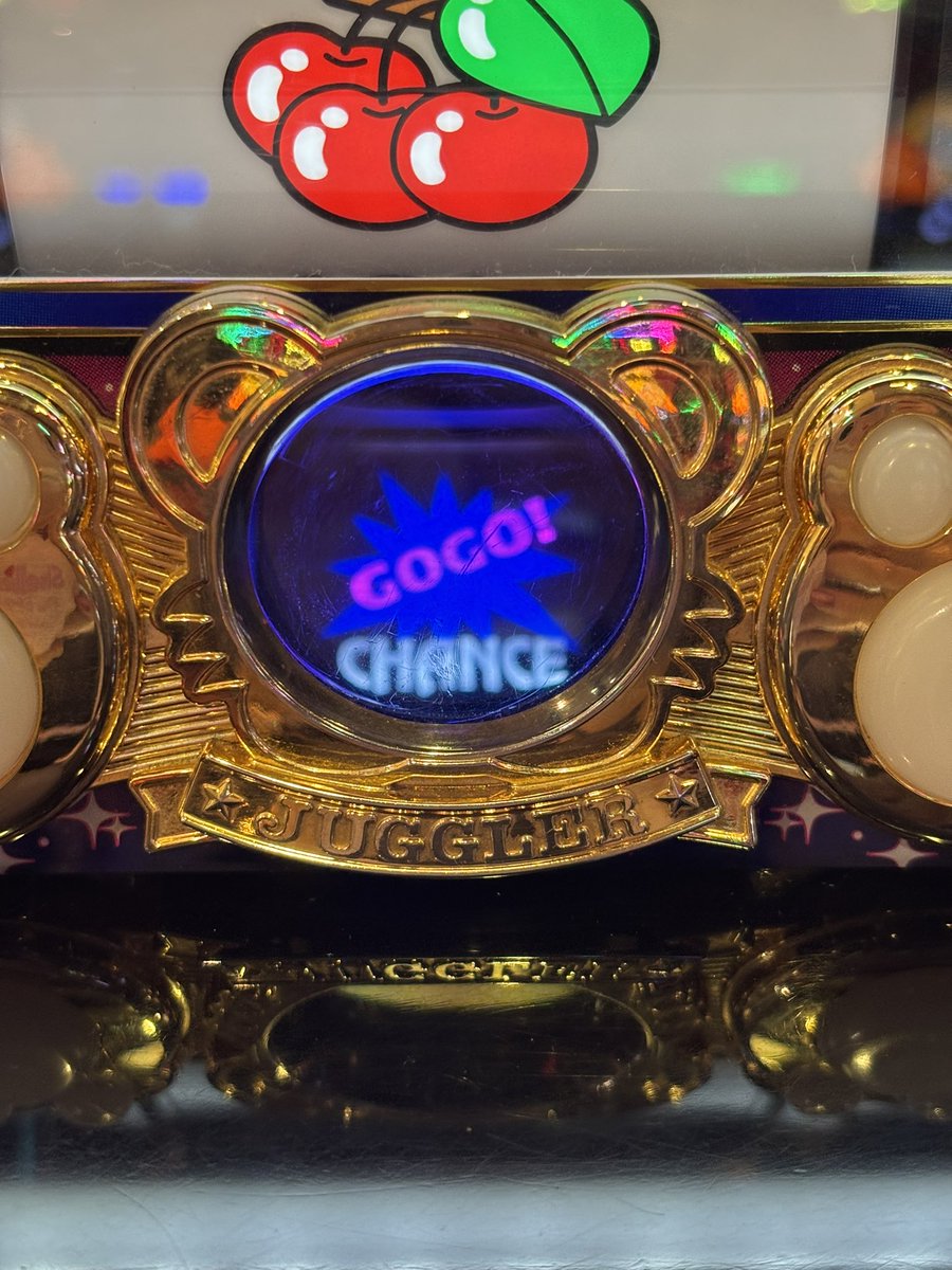 まぁさページ まぁさ🐩💟 (@martha_pd) / Posts / X