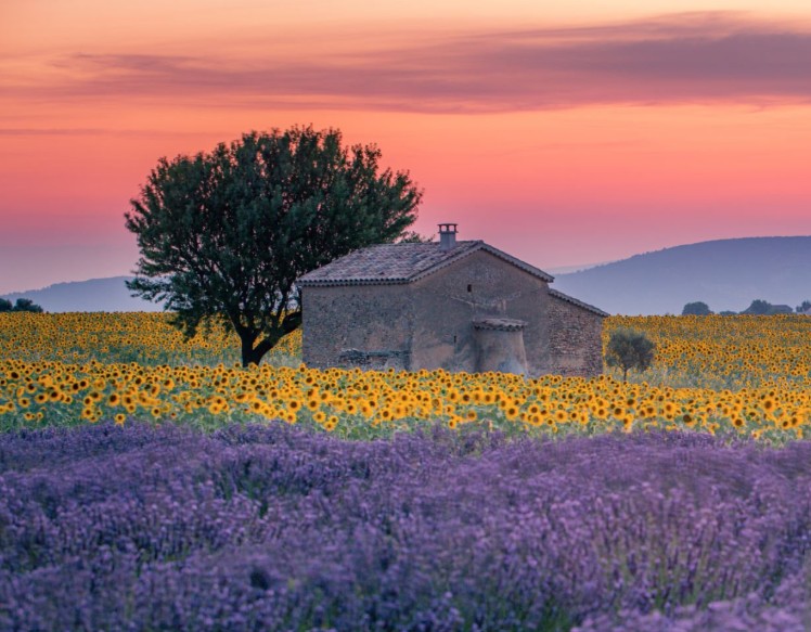 LaurensVIP's tweet image. Zonnewende (kortste dag).
Het licht gaat weer winnen 😊☀️💪