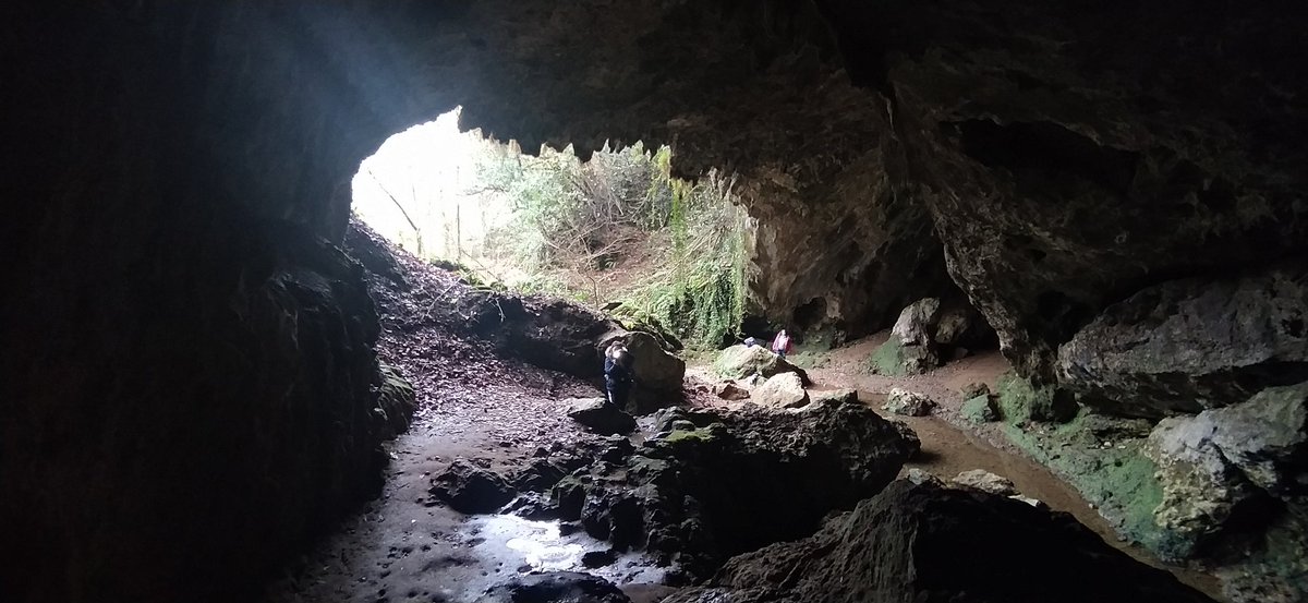 XeNoM0RPH's tweet photo. #rasines #Cantabria #paleolitico https://t.co/kvfRROLS0r