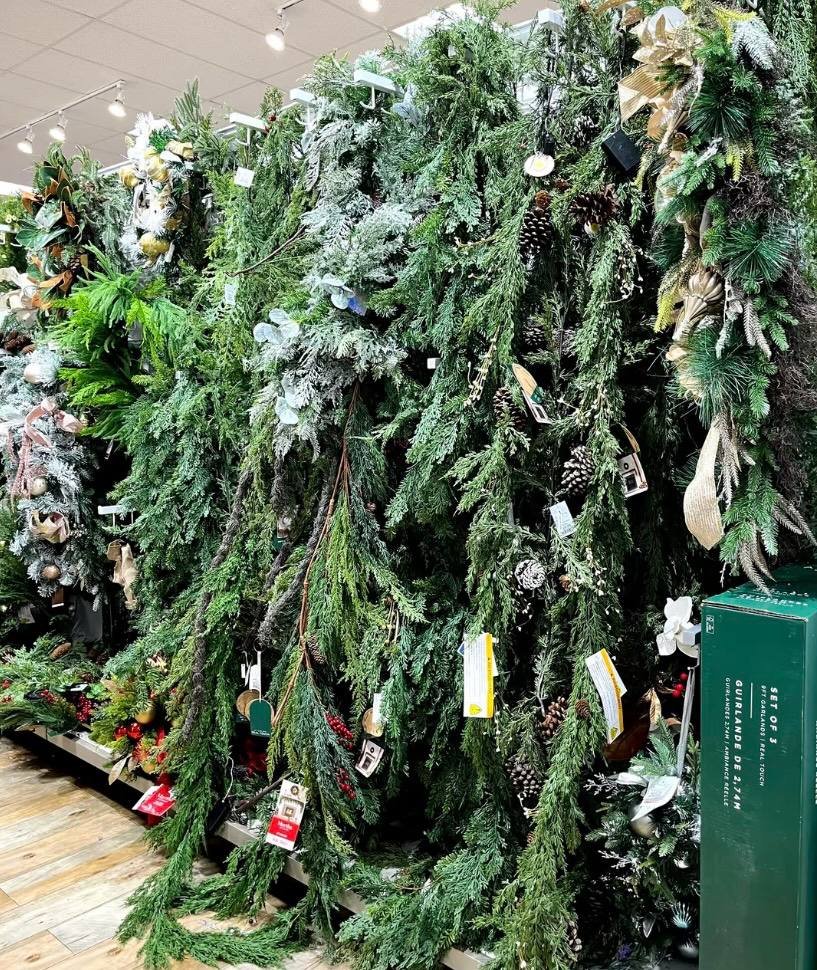 Ed41Grace's tweet photo. Too many cute things, not enough cart space. Just doing some scouting. 🎄
#christmaseve #Christmas #MerryChristmas #cutethings #loveyou https://t.co/o5rihBbBtW