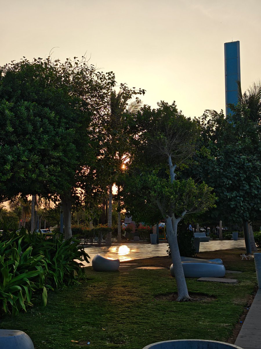 ياسِر tweet media