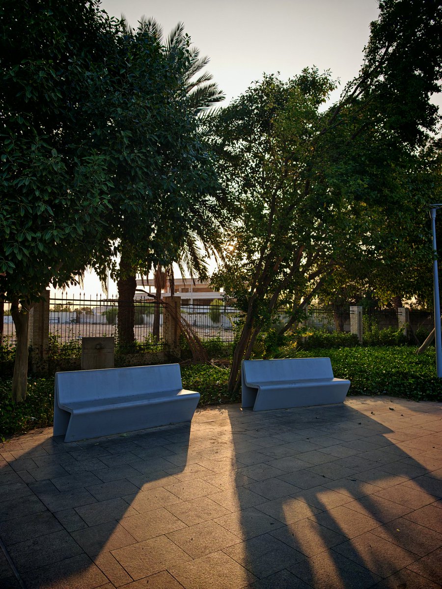 ياسِر tweet media