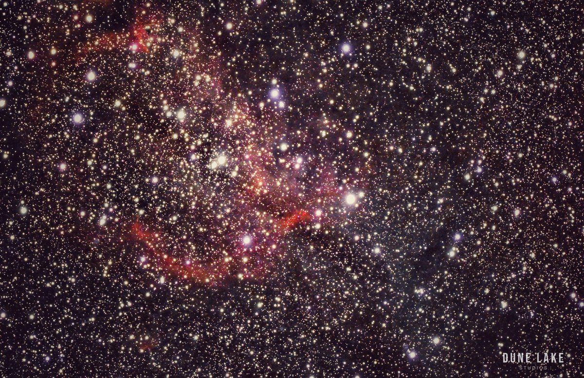 David Warren tweet media