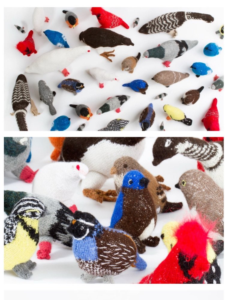 黄色い鳥器店 (@ckiiroi_tori) / Posts / X