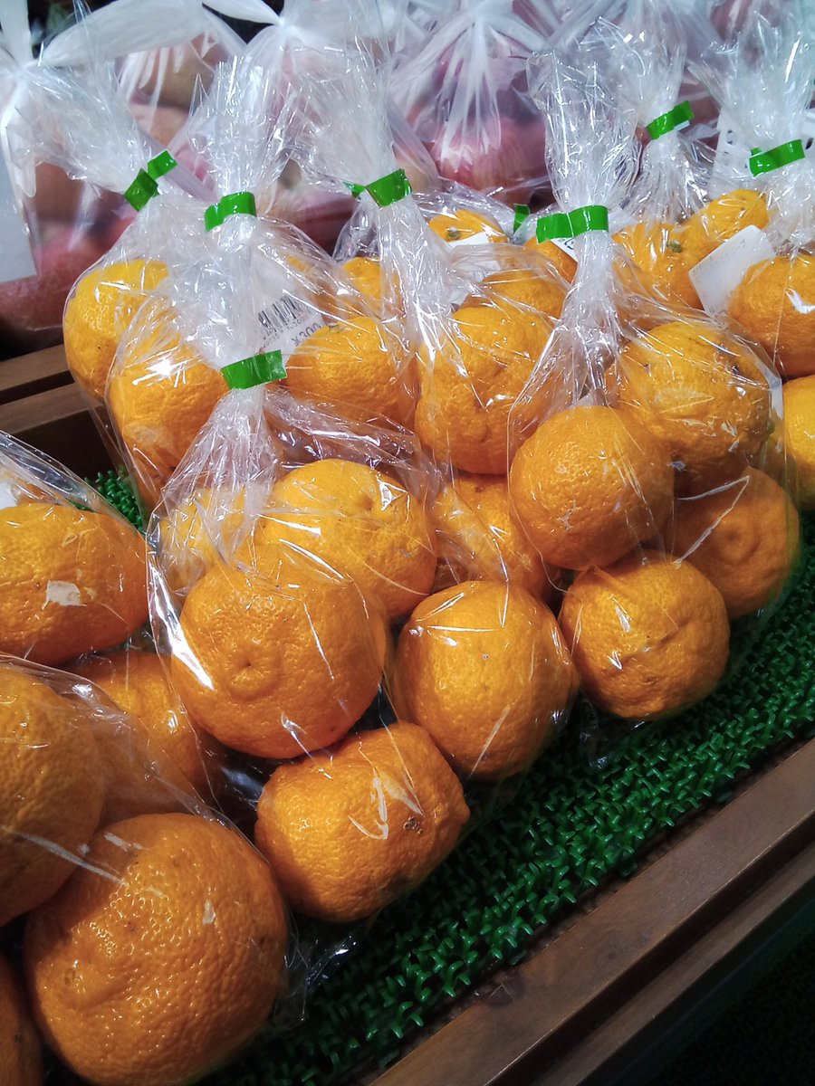 12月21日(日)10時40分現在の気温は13℃、天気は曇りです。 ゆずの陳列棚