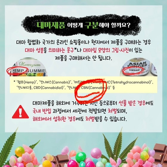 로이로라 tweet media