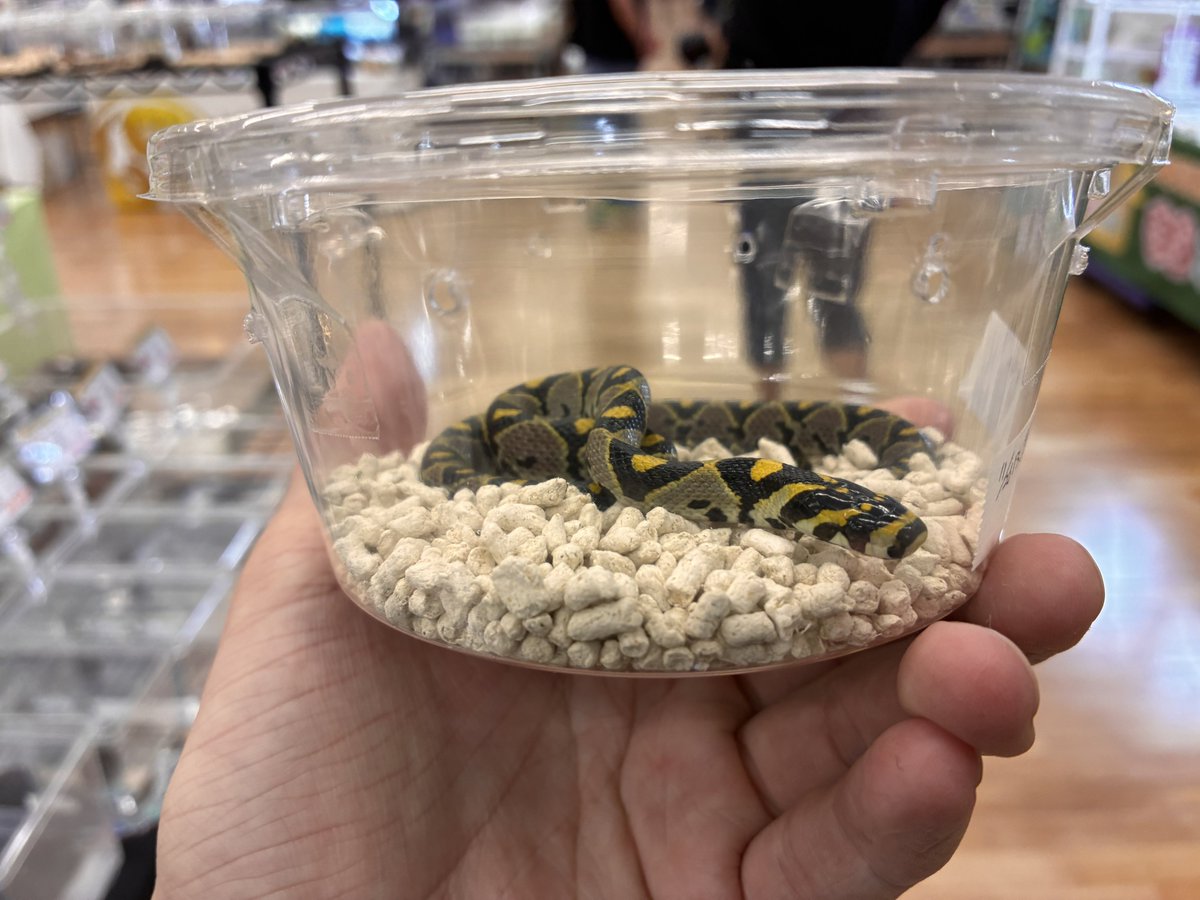 設営完了！！
年内ラストよろしくお願いします！