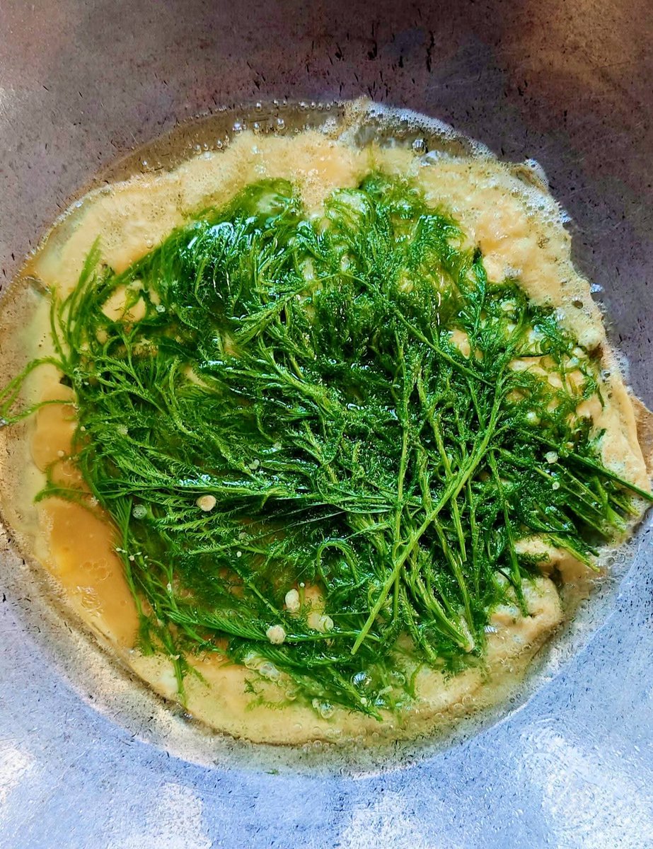 Zaab Eli Der (@zaabelider) on Twitter photo 