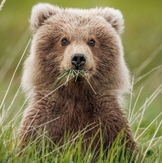 koko⚡️ (@chuujeee) on Twitter photo 