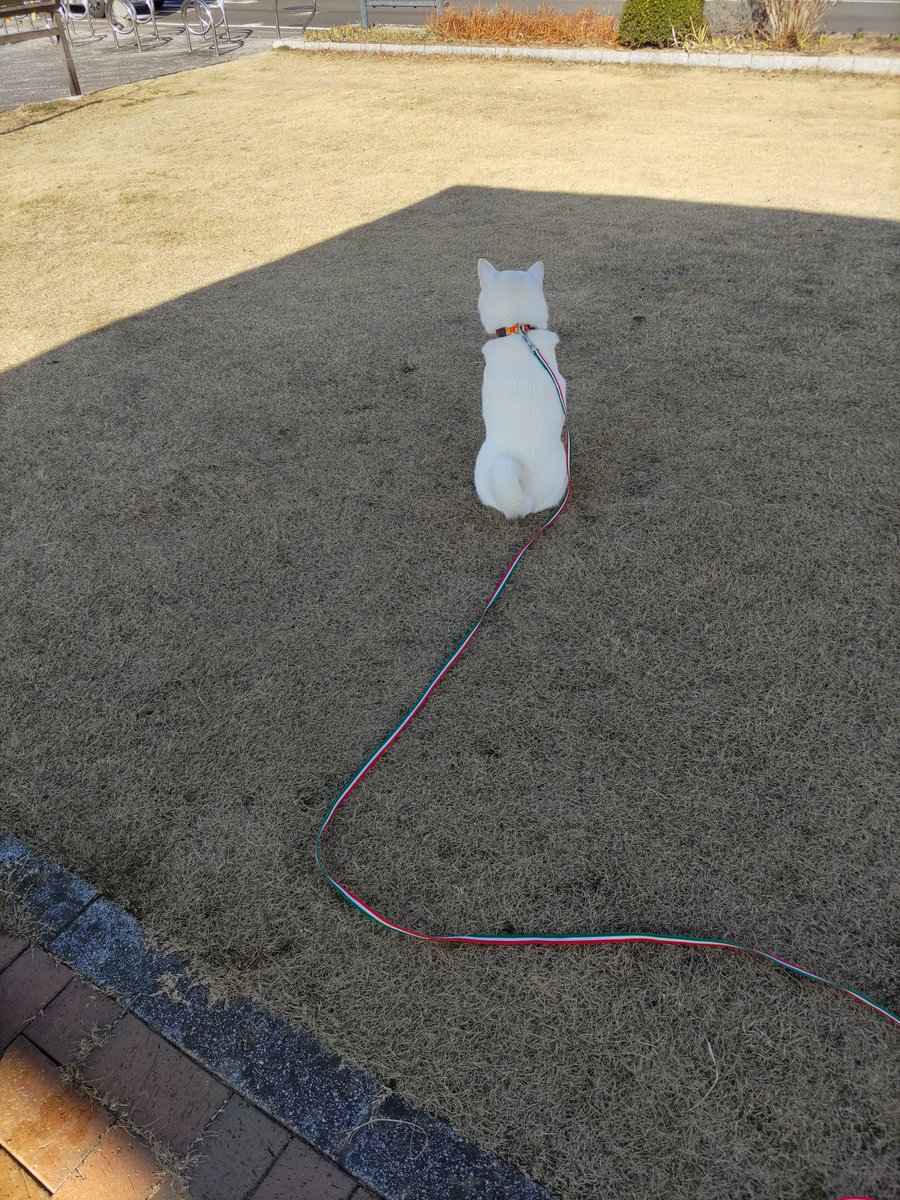 水瓶座♒️ちろ (@xYWsDRmcZE9m1g7) / Posts / X