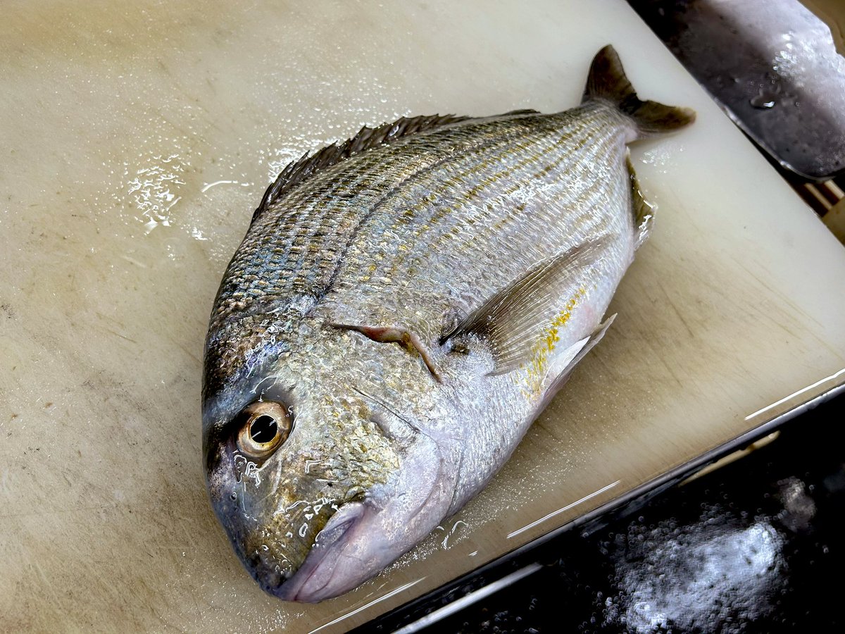 今日のおすすめの刺身はこんなところ。