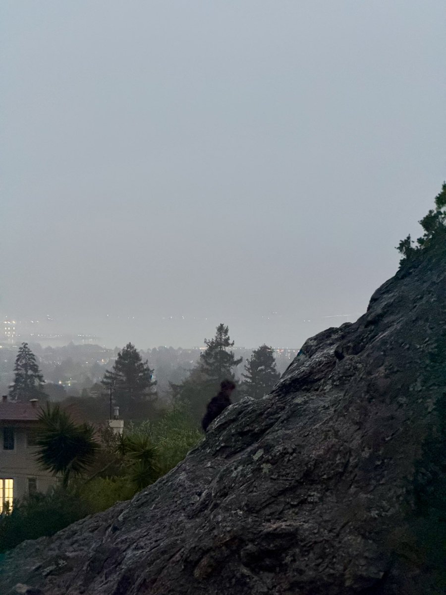 jesse.base.eth tweet media