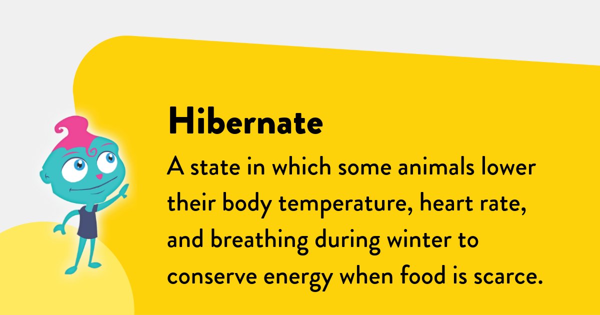 ExploreLearning's tweet image. How do animals survive the cold? Through amazing adaptations like hibernation! 🐻 Help students discover more in the Science4Us Animals module: bit.ly/3Mv9uo1

#Science4Us #ElementaryScience #ScienceVocabulary