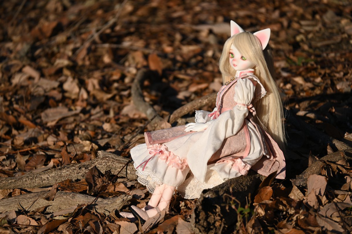 #絵画のようなドール写真

落ちる陽光が心地よい一枚になりました🍂
#うちのこかわいい  #DearMine