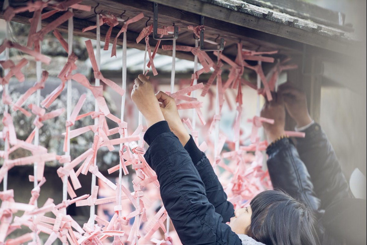 令和8年初詣についてお知らせいたしますので、下記URLよりご覧ください。
皆様のご参拝を心よりお待ちしております。
dazaifutenmangu.or.jp/archives/1672

#太宰府天満宮 #天神さま #初詣 #正月
