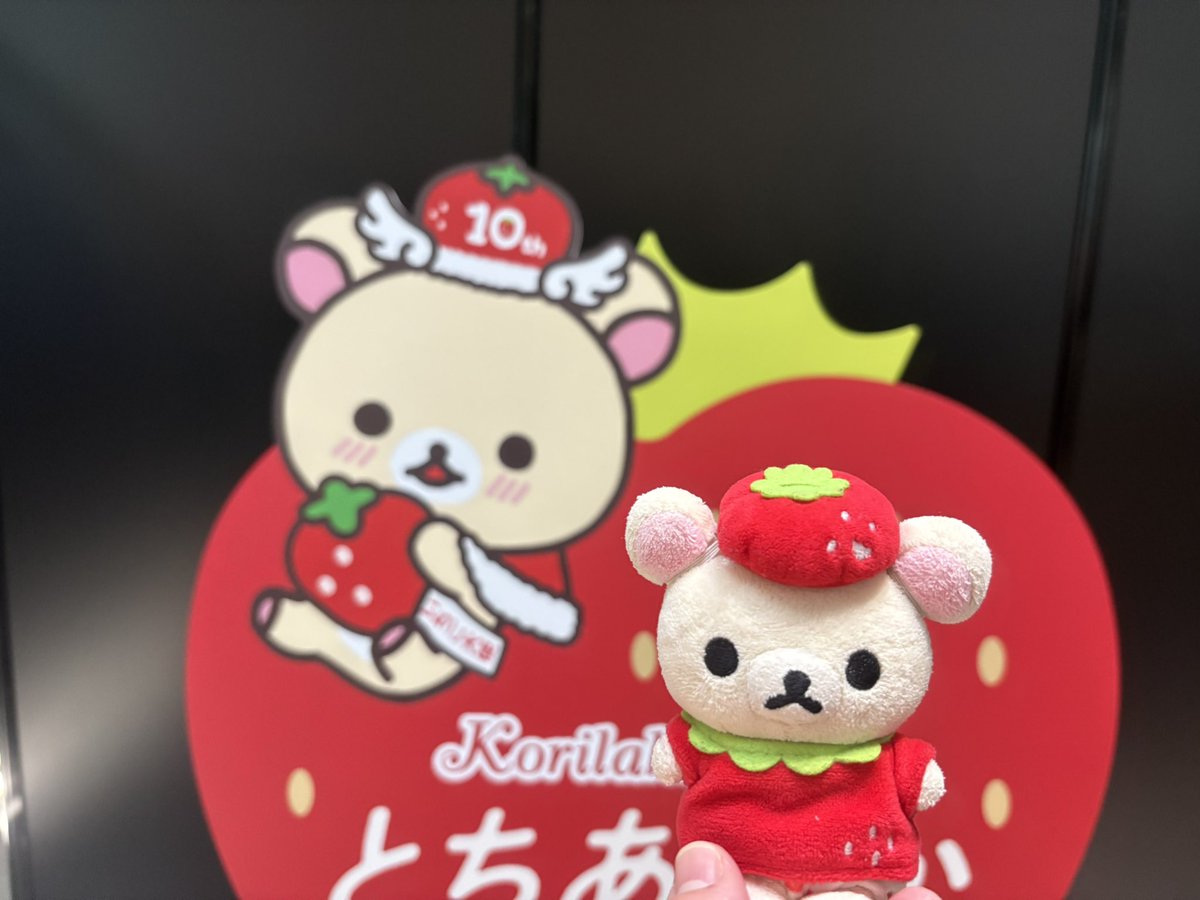 🍓🧸えりりん🧸🍓 (@tanaeririnn) / Posts / X