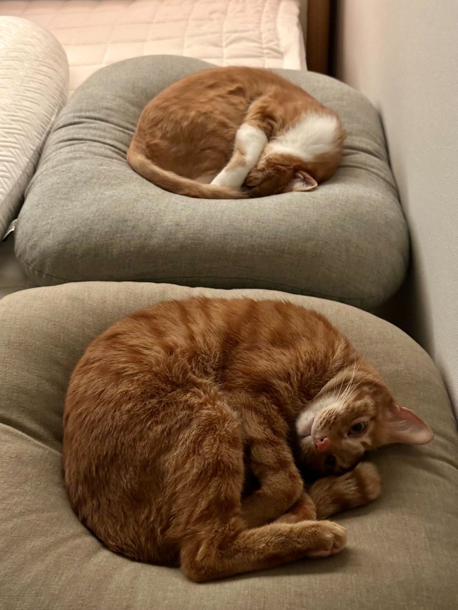 Oh Dongseok tweet media