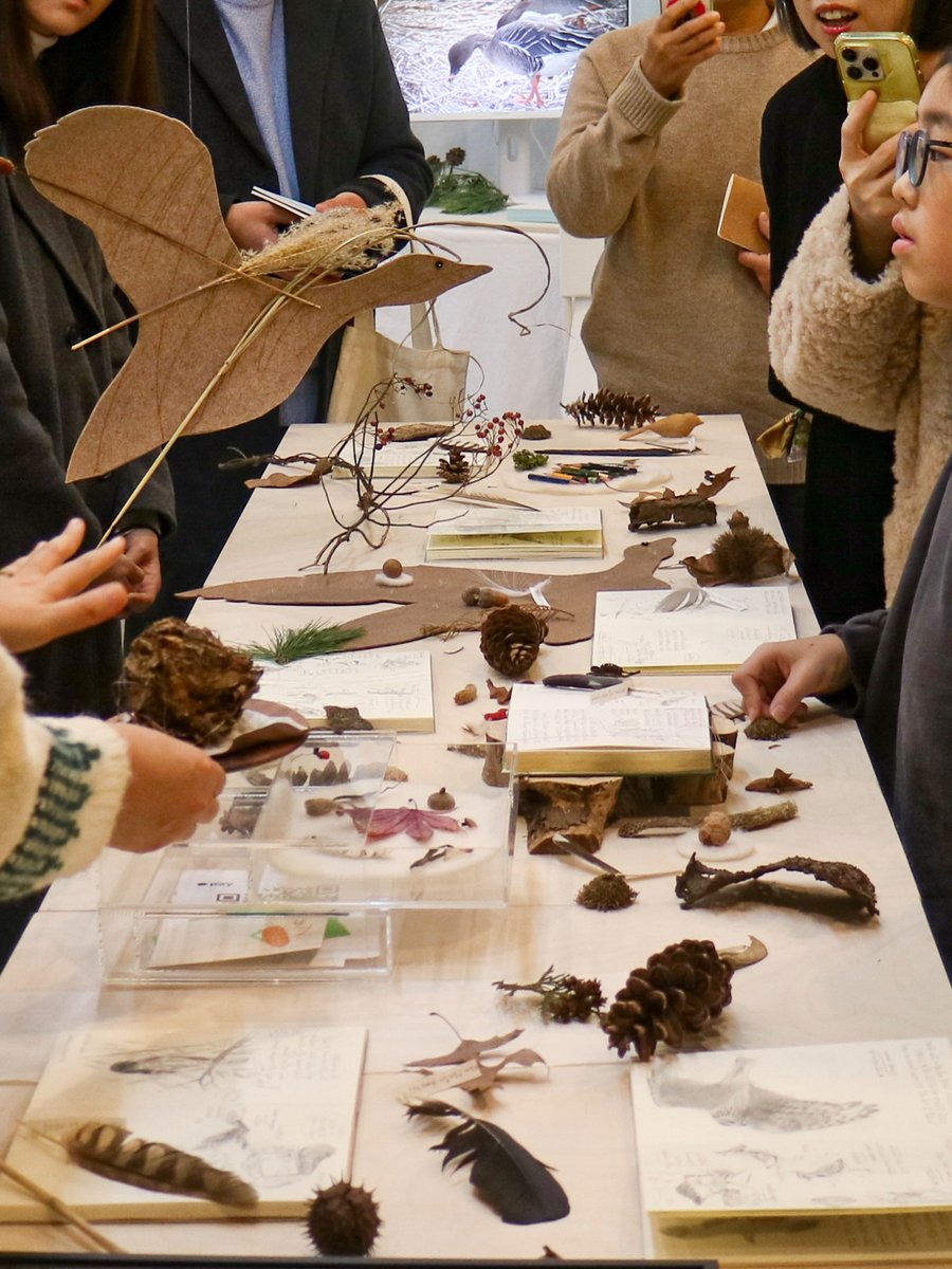 즐거웠던 어제의 북토크💫 깃털과 열매를 줍고 귀하게 여기는 분들과 함께한 꿈같은 시간! 작품을 보며 다양한 이야기를 나누다 사진첩을 꺼내 서로의 새사진을 보며 감탄하는 탐조인들의 전통의식(?)으로 북토크를 마무리할 수 있어 더욱 즐거웠습니다. 와주신 분들께 감사의 마음전합니다🤎