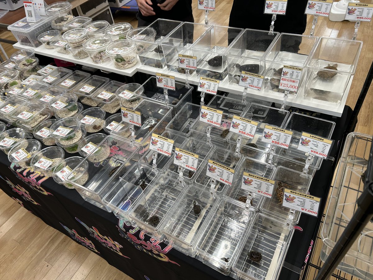 BO東京開場しました！！！
本日はよろしくお願いします！！！！！