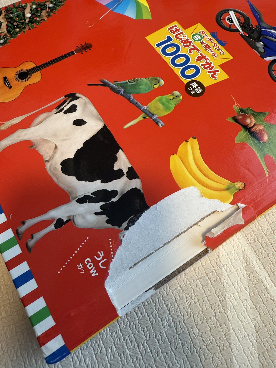 モコ ⚡︎ ☺︎︎ (@mococo_100) / Posts / X