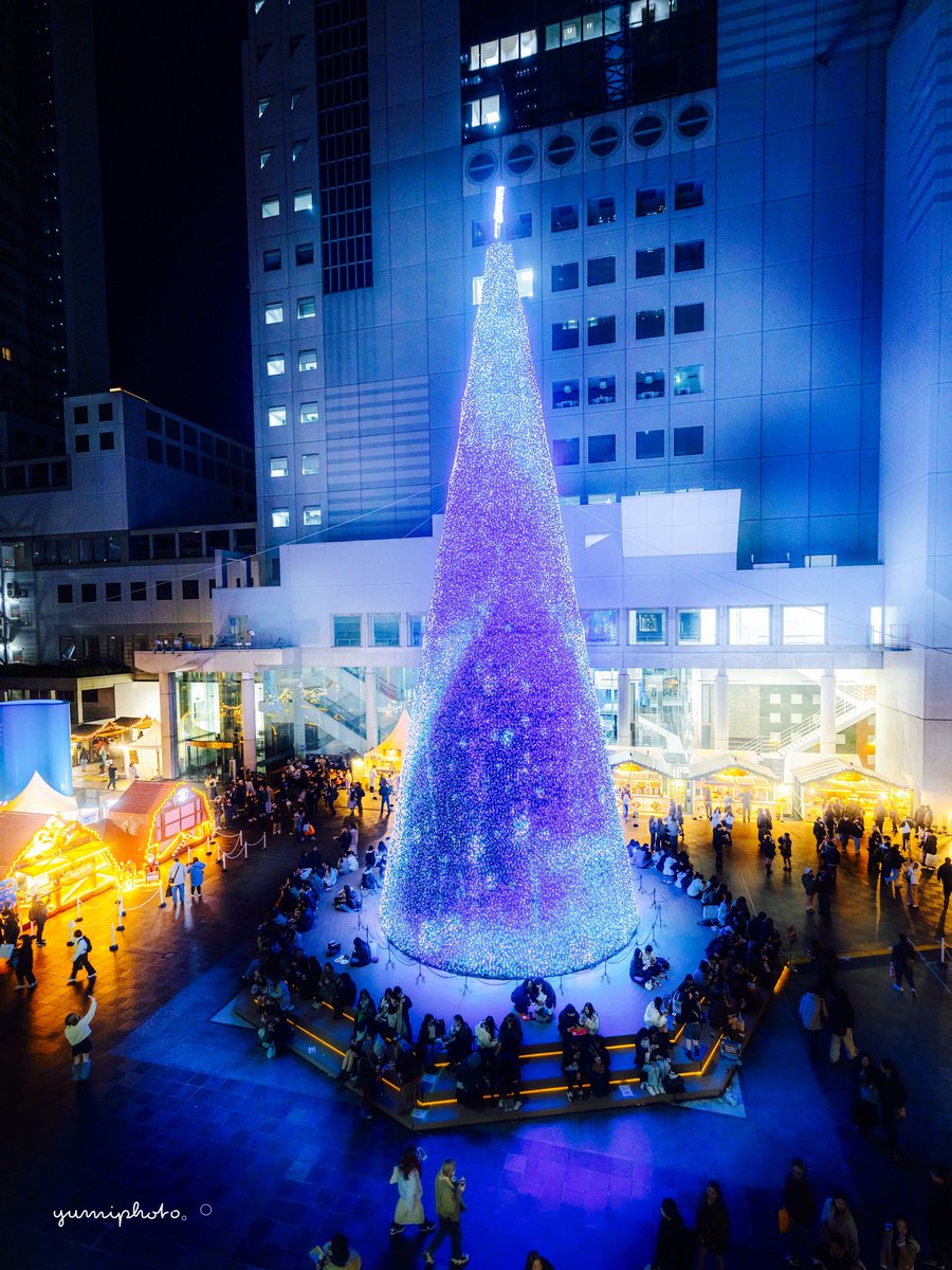 ｸﾘｽﾏｽﾏｰｹｯﾄの真ん中で輝く ｸﾘｽﾏｽﾂﾘｰ𓈒 𓏸 𓐍 𓂃 𓈒 𓏸 𓂃◌𓈒𓐍 𓈒 𖠰