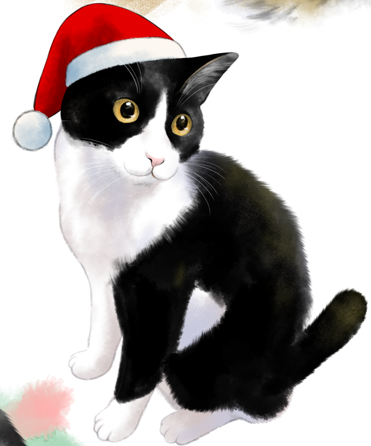 「猫練習」|竹下けんじろうのイラスト