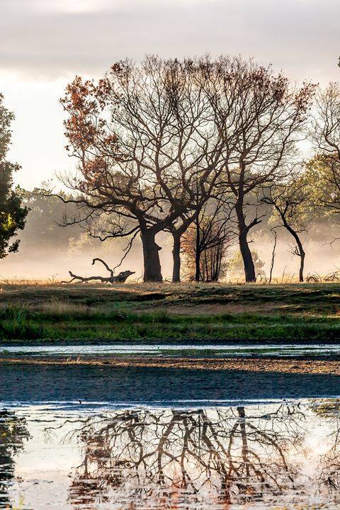 Fine Art Norfolk Photography tweet media
