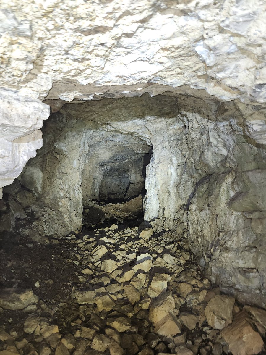 FallApollo's tweet image. I LOVE MINES