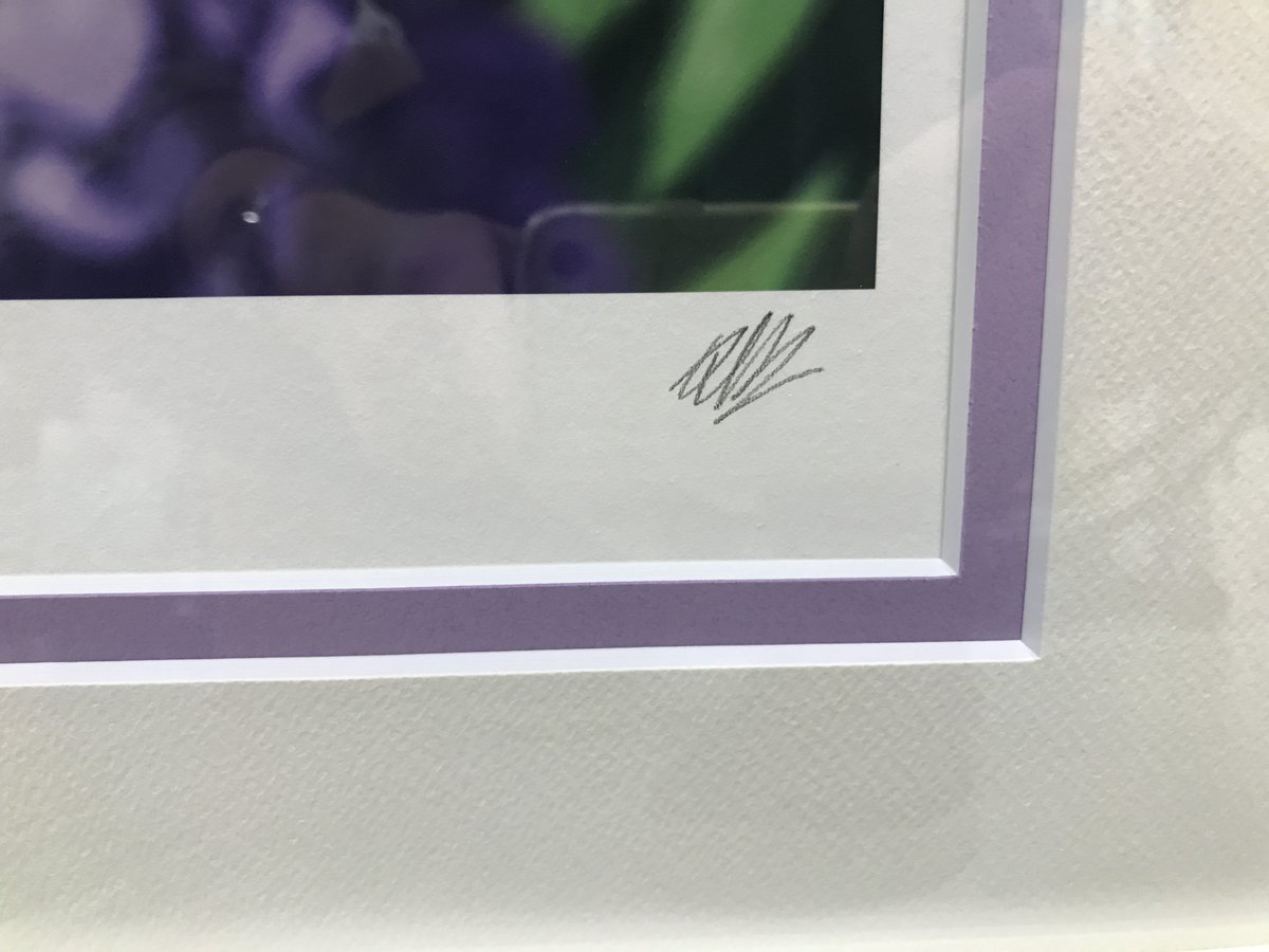 カントク 版画 あじさい』が4Fにて販売中！🥳 シリアルナンバー、直筆