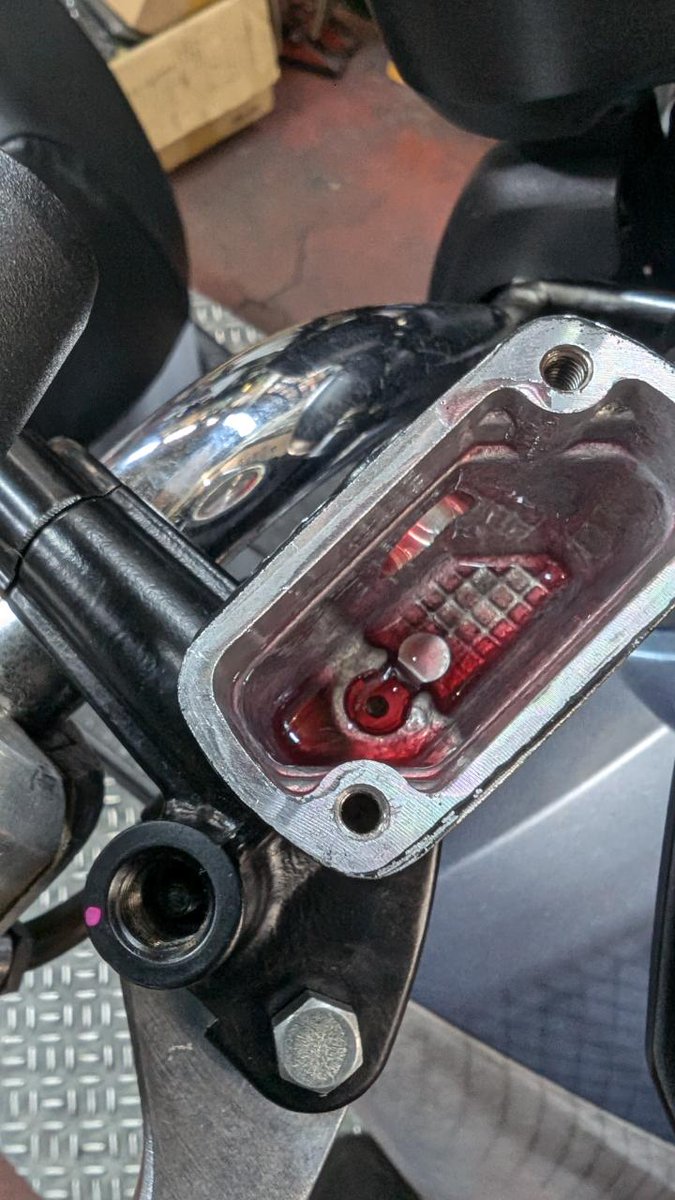 つよつよ つよつよ (@TsuyoTsuyo74) / Posts / X