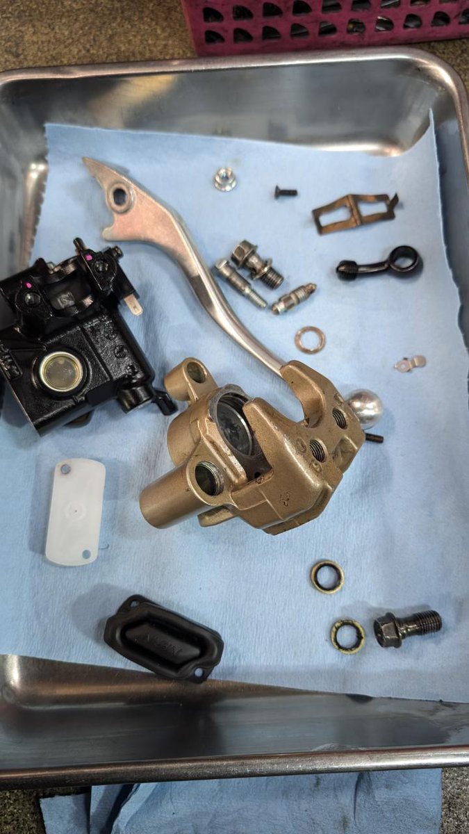 つよつよ つよつよ (@TsuyoTsuyo74) / Posts / X