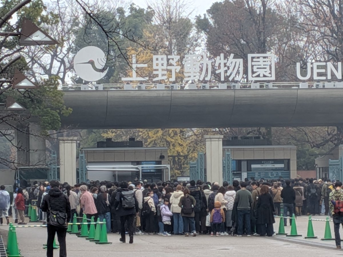 「お昼ご飯食べてから #上野動物園 の #パンダ でも見に行くか」という方々へご案内です。

たぶん無理です。

朝9時半前「今から並んでも、パンダは見られない可能性があります」と動物園前ではアナウンスがあり、走って並んでいる方多数でした。

正面入口は少なく見えますが、不忍池は大行列です😵‍💫
