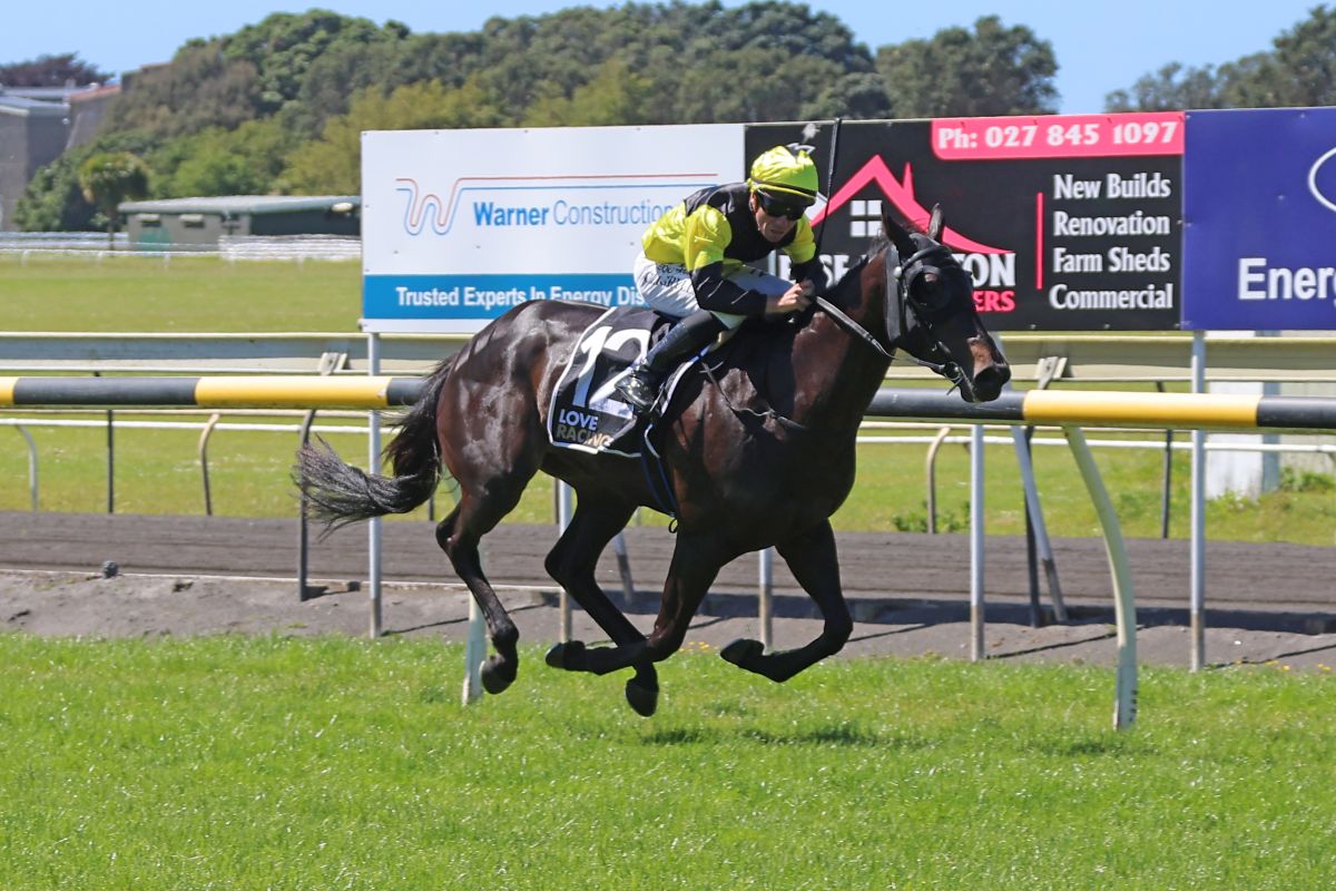 nzracingnews's tweet image. NEWS: The Dirty Dee's Oaks preparation hit a minor issue when she was scratched from the Gr.3 Eulogy Stakes but @PattersonStable hopes to get her back on track. Read more here racingnews.co.nz/exciting-filly…