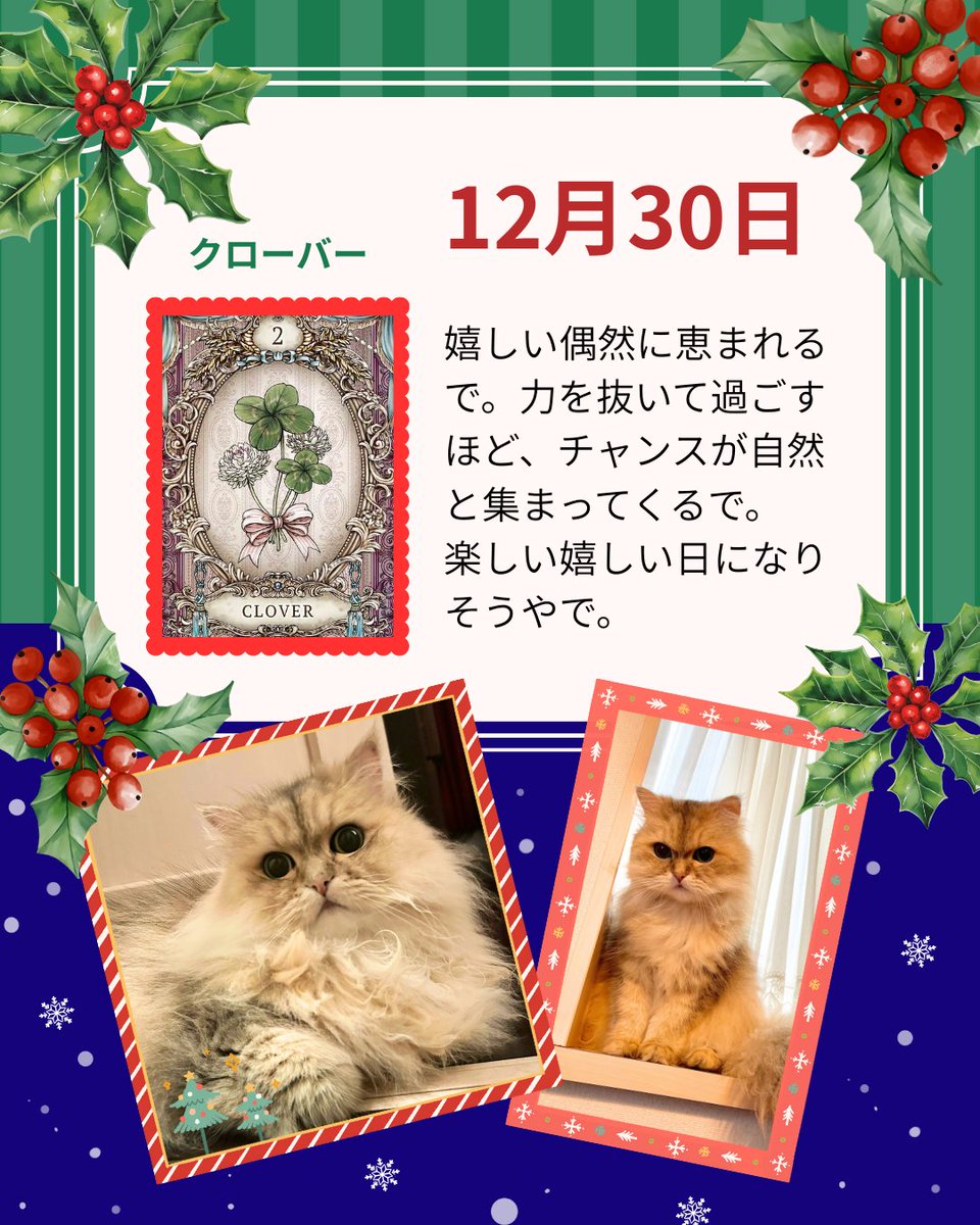 sakurano_karen's tweet photo. 🎄こべびちゃん占い🎄

占い猫こべびちゃんからの 今日のメッセージ🌟
冷たい風の中でも 心がほっとあたたまる
ご縁が訪れますように。 https://t.co/Kj02iHtd2r