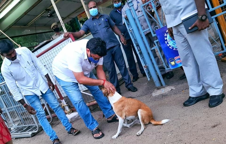 Within a few months of becoming a Minister in 2021, I came across a very friendly dog (one of many dogs in the Secretariat) with a broken leg while leaving my office in Fort St. George one evening

On (erroneous, as it turned out) information that her leg had been broken in an