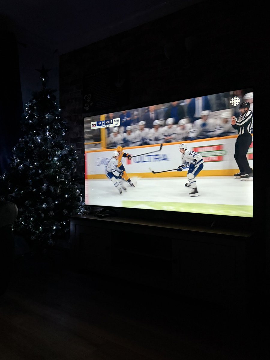 The Dummy’s are losing, I like my Christmas tree though