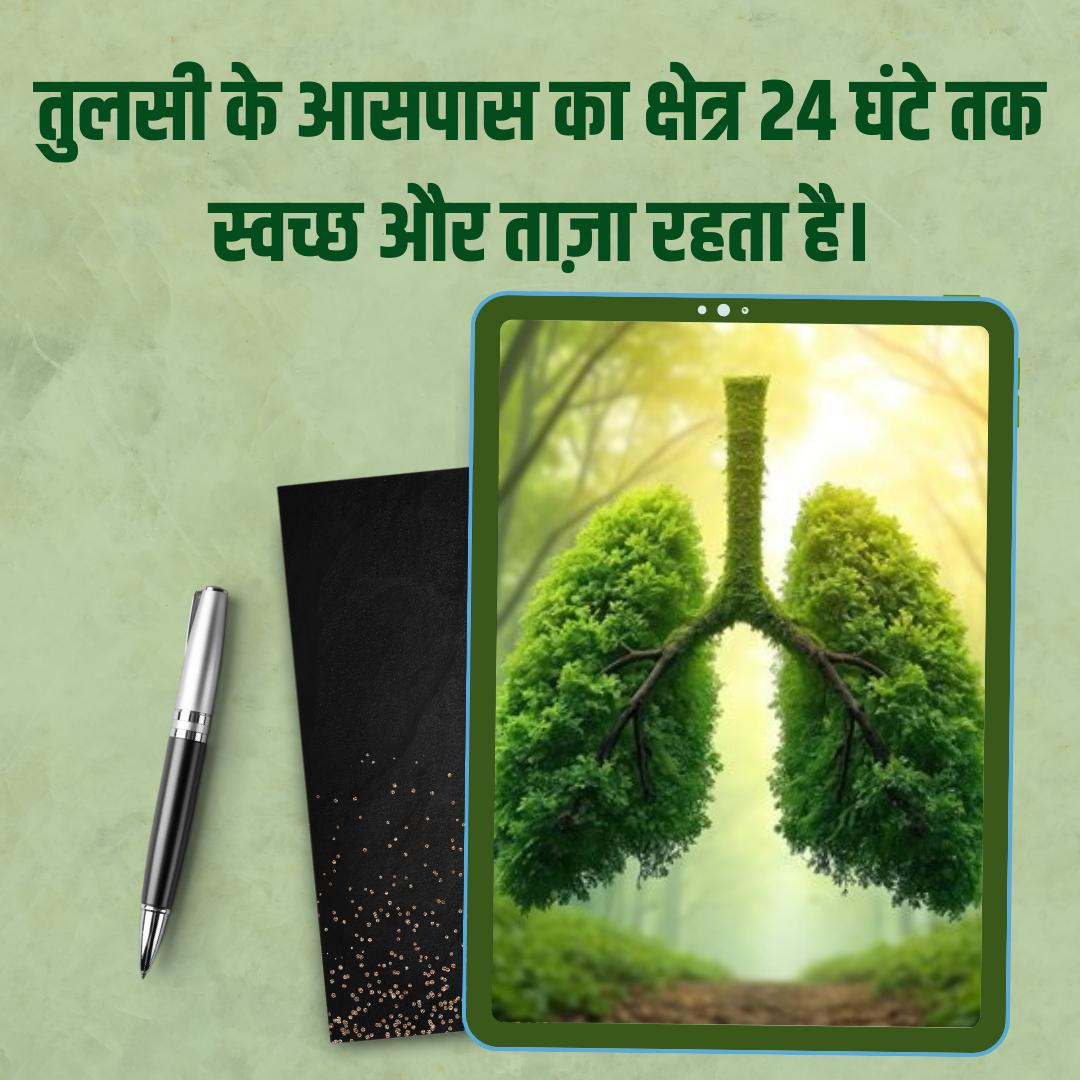Ayurveda honors Tulsi as a Wonder Drug that nurtures body, mind &amp; prana.

Sant Shri Asharamji Bapu highlights Tulsi as a bridge between health &amp; Environmental Protection.

Let’s revive this wisdom. #TulsiPujanDiwas