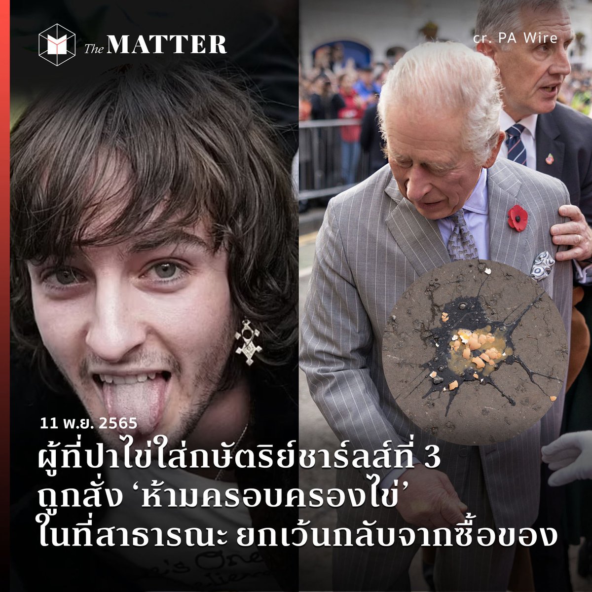 。 Mame 。A Birb from Babylonia (@littlebirbmame) on Twitter photo 