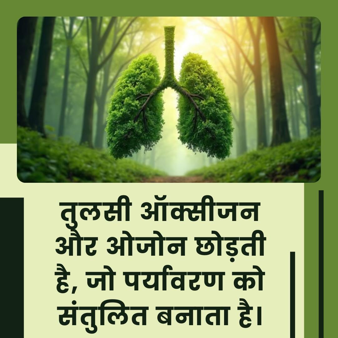 Sant Shri Asharamji Bapu - तुलसी बच्चों के लिए वरदान है तुलसी के बीज लेने से पेट की कृमि दूर होती है तथा सुबह खाली पेट 5-7पत्ते खाने से याददाश्त  बढ़ती है
Wonder Drug
Environmental Protection
#TulsiPujanDiwas
