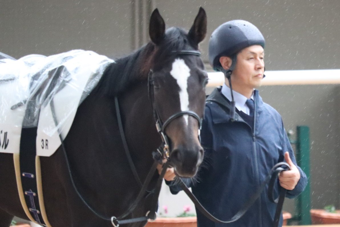 みかん (@DRYWH8) / Posts / X