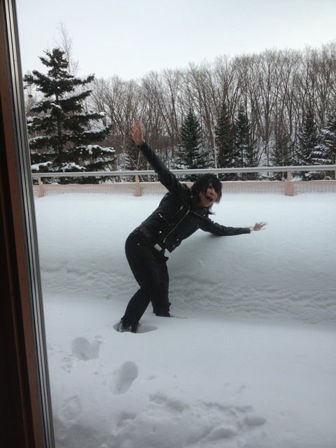 (なんかの犬の名前) tweet media