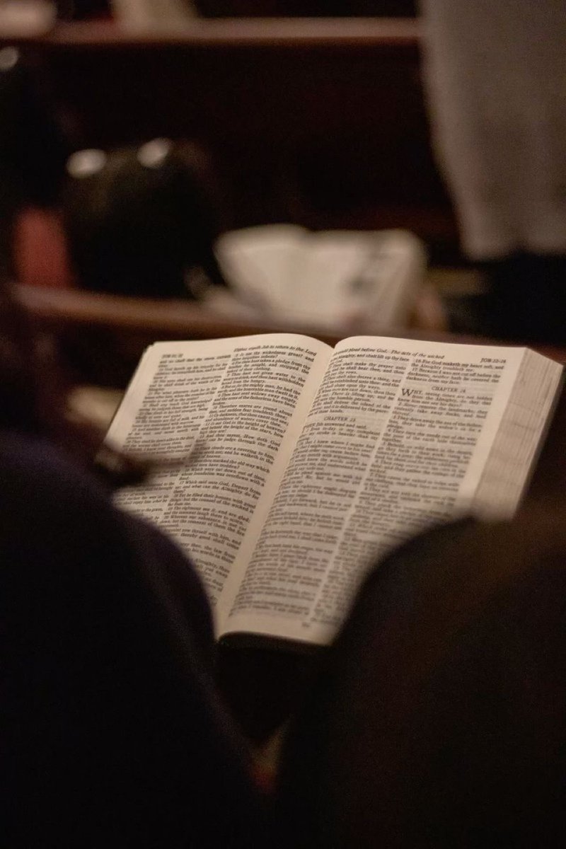 𝕊𝕠𝕝𝕒 ℂ𝕙𝕒𝕕 🎚️ tweet media