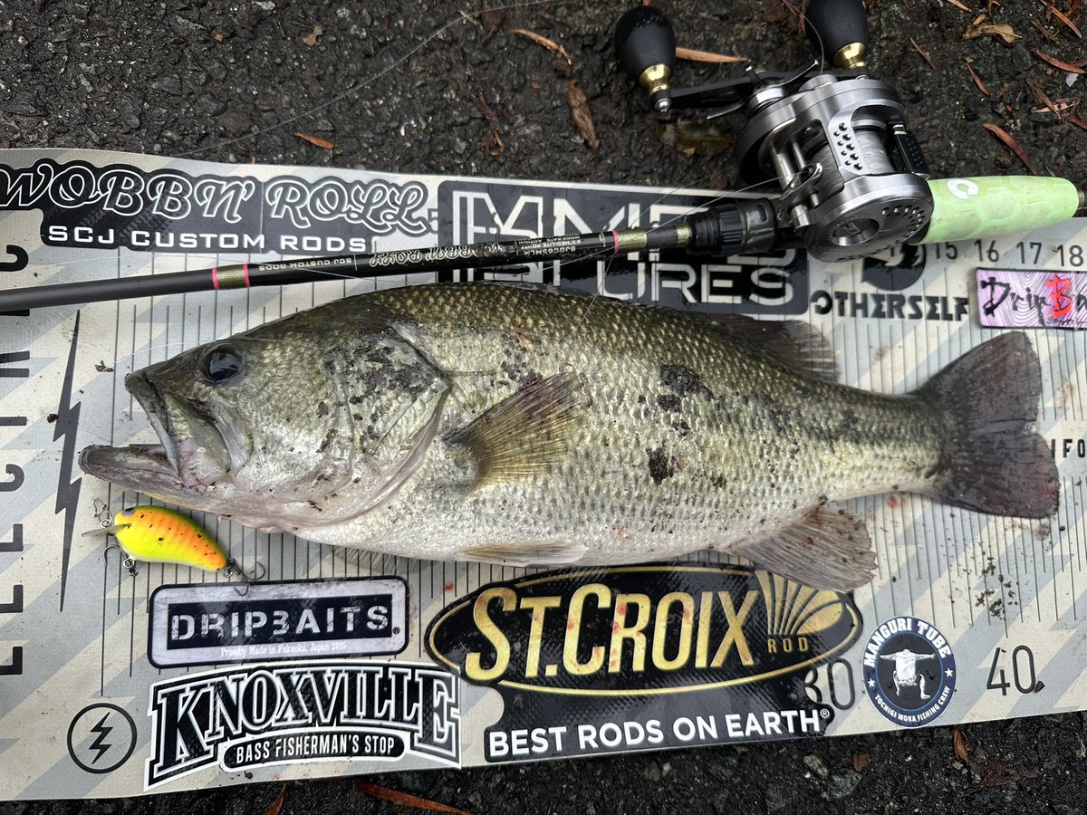 REALCORE (@REALCORE_JP) / Posts / X