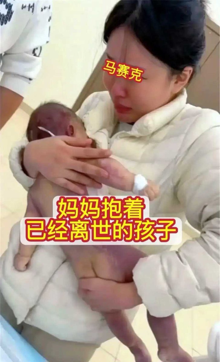 魔都老猿 tweet media