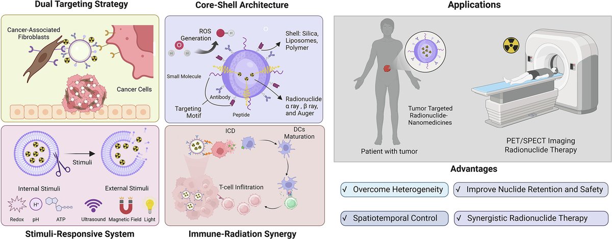 JCRnEDITORS's tweet photo. Tumor targeted radionuclide-nanomedicine for clinical translation: From carrier innovation to precision therapy.
| Xiaoyuan Chen @NUSingapore |
[50 days' free access]
#radionuclide #TargetedDelivery 
https://t.co/8qkx1zdWT2 https://t.co/N2LMmqkMPa