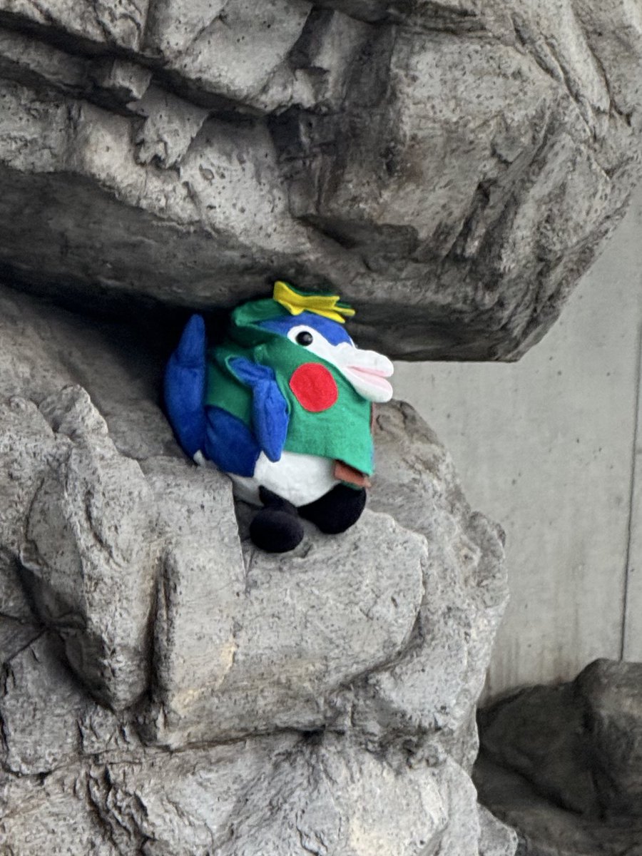 詰め込まれしなフィン🐬