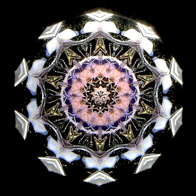 万華鏡 📷入荷情報📷 松田隆一さんの万華鏡が入荷いたしました。 今回は