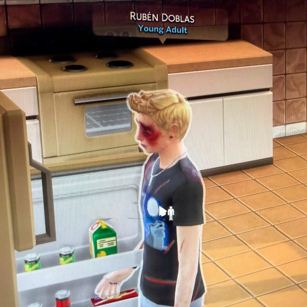 la vida me trata como a rubius en el mundo de the sims de quackity