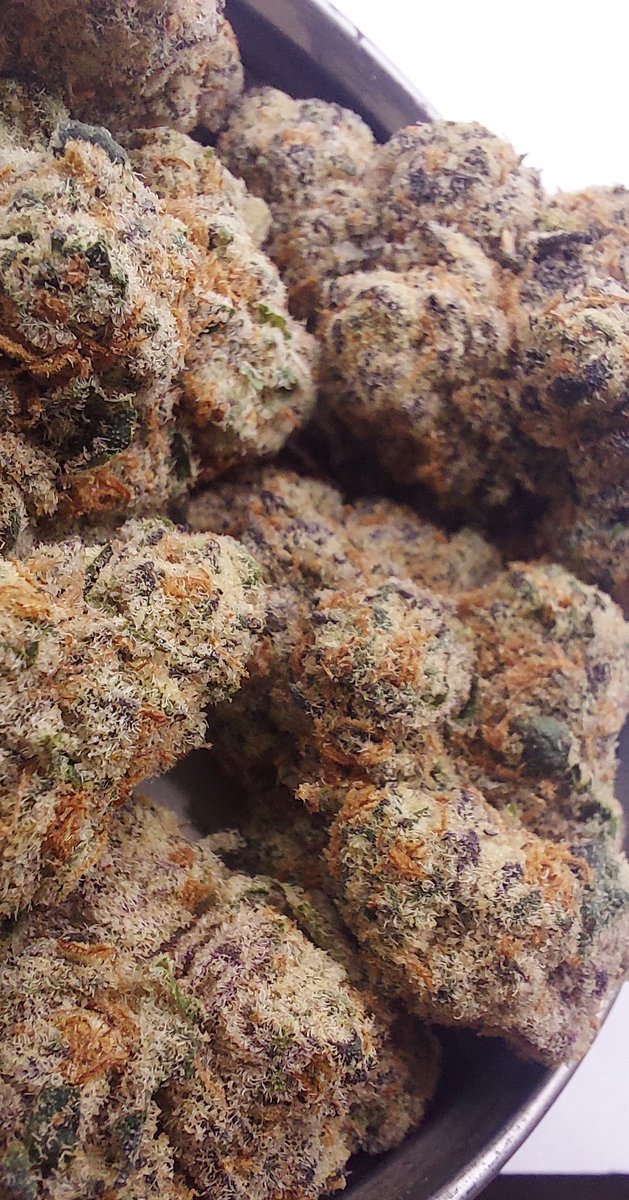 budgetbanger's tweet image. What are your plans tonight? 👀 

Find our Glitterbomb ✨️💣 and other 🔥 strains at Budgetbanger.co 

use CODEX for 30% off at checkout