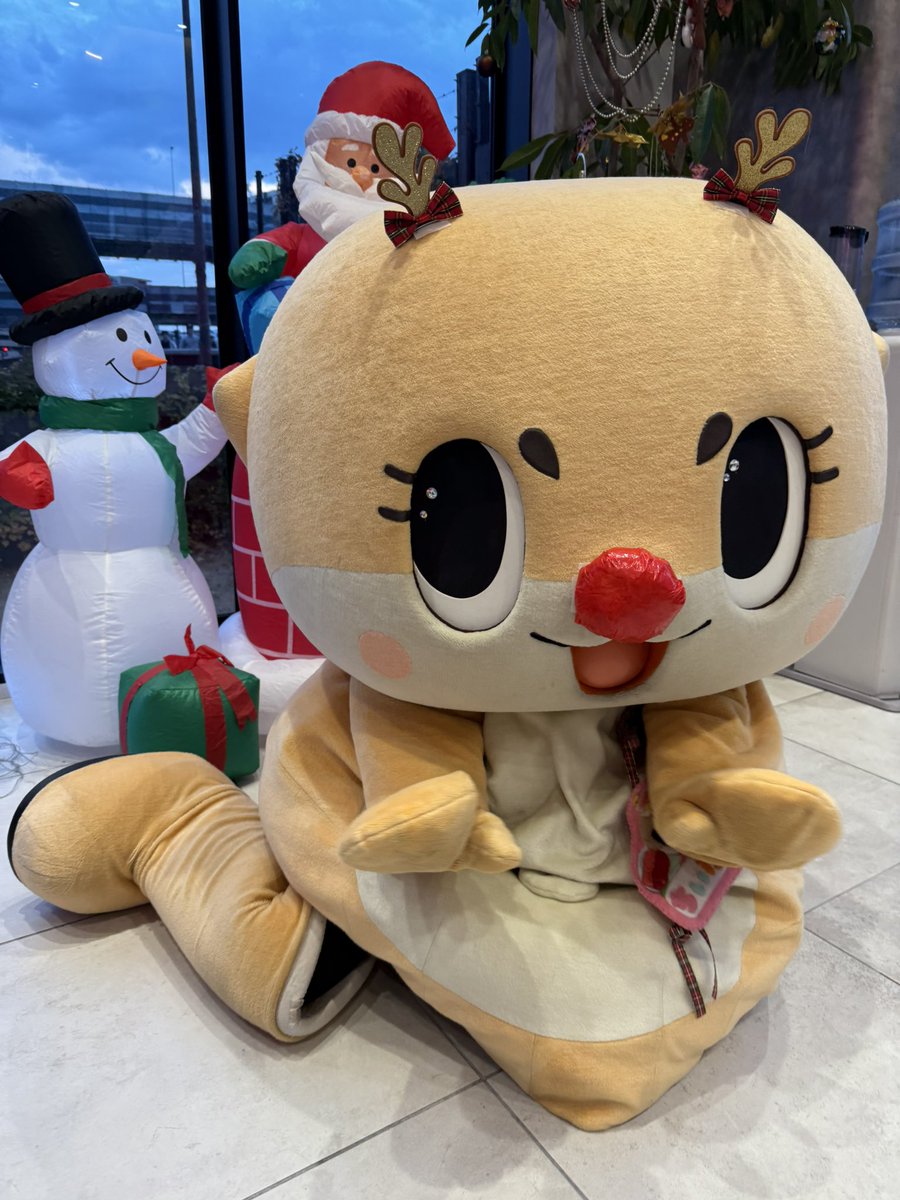 しぃちゃん (@shihan11035481) / Posts / X